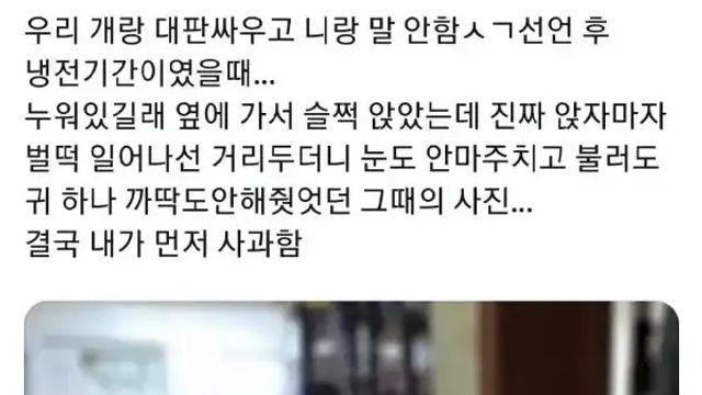 댕댕이랑 대판 싸우고 삐졌을 때 표정.jpg