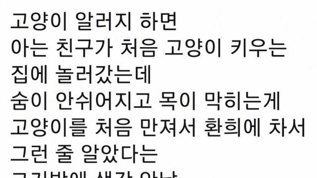 고양이 알러지있는 친구의 착각.jpg.jpg