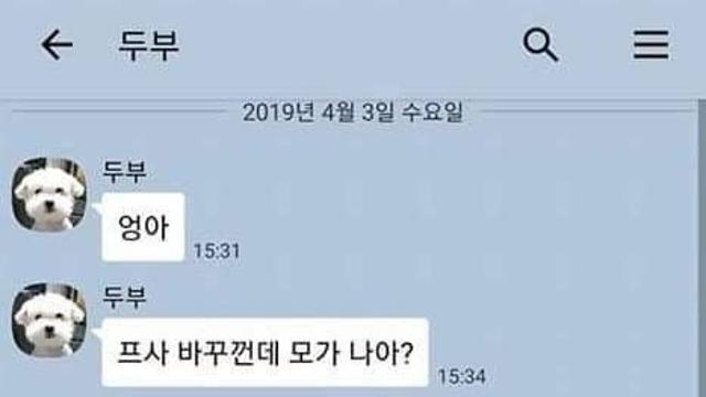 댕댕이랑 카톡할수 있다면.jpg‥