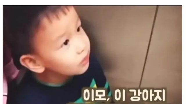 이모, 이 강아지 한번 만져봐도 돼요??.jpg
