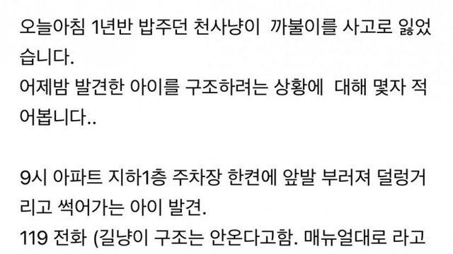 길냥이 구조 안 해줘서 화나신 분