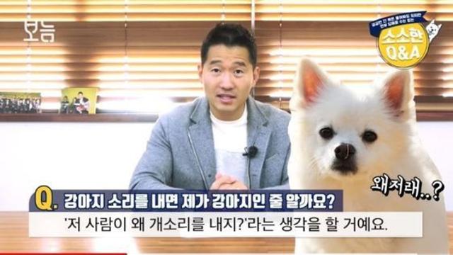 강아지 소리를 내면 강아지인줄 알까요