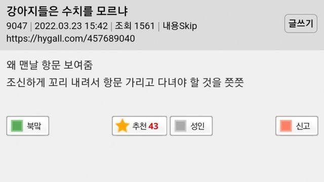 강아지들은 왜 수치를 모르냐
