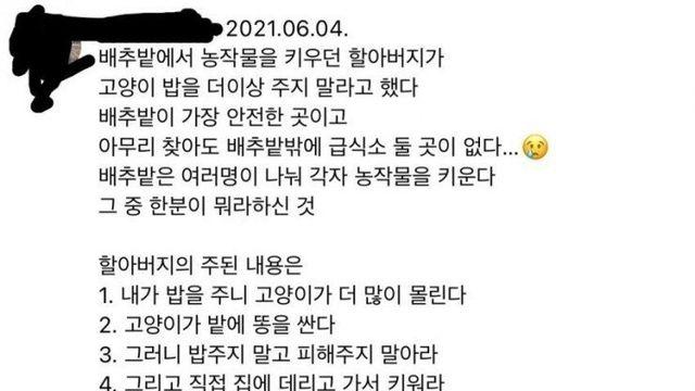 배추밭에 고양이밥 두는 캣맘