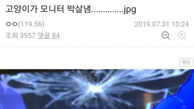 고양이가 모니터 박살냄.jpg