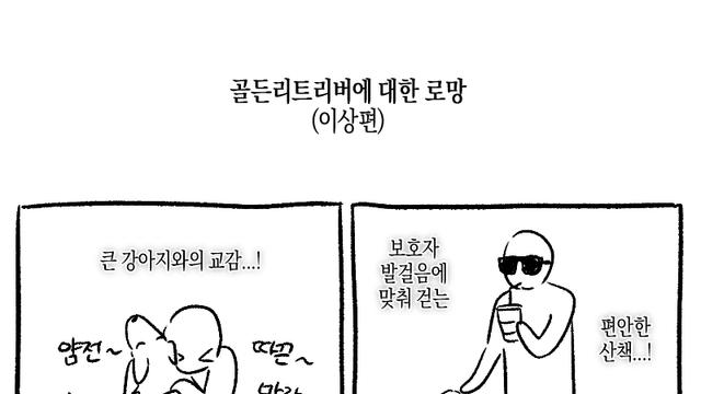골든리트리버 입양