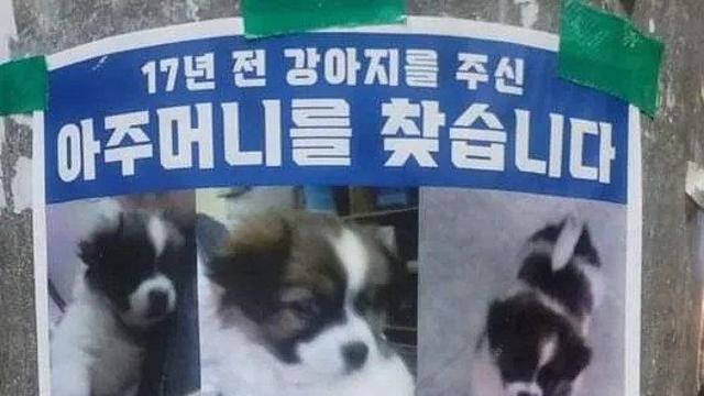 17년 전 댕댕이 주신 아주머니를 찾습니다