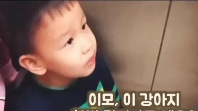 이모, 이 강아지 만져봐도 되요?‥
