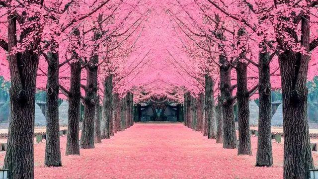 Place, Korea