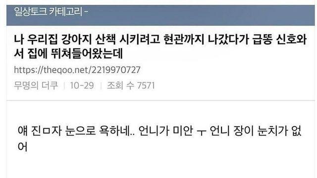 강아지 산책 시키려다 급똥옴