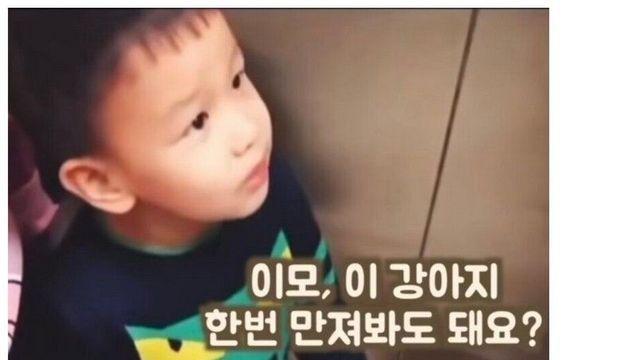 이모, 이 강아지 한번 만져봐도 돼요?