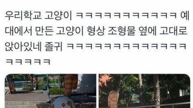 고양이 조형물이 맘에 든 냥이.jpg,,