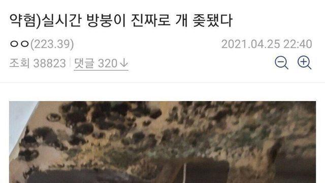 필력 지리는 천장누수 개꿀팁ㅋㅋㅋㅋ