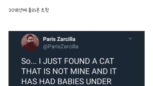 우울증 환자 집에 고양이 가족이 무단침입..