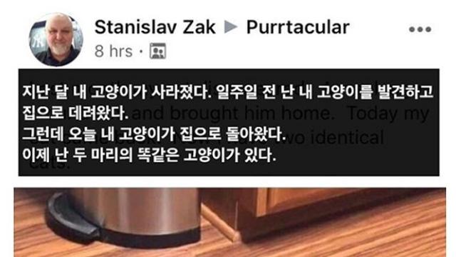 냥냥이가 복사가 된다고