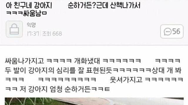 순한 강아지가 산책나가서 싸움