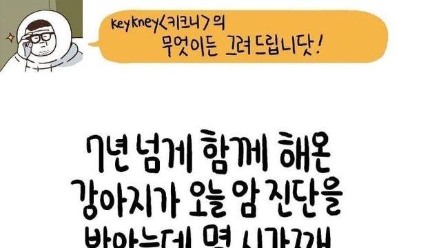 7년 넘게 함께 해 온 강아지가 오늘 암진단을 받았는데⋯