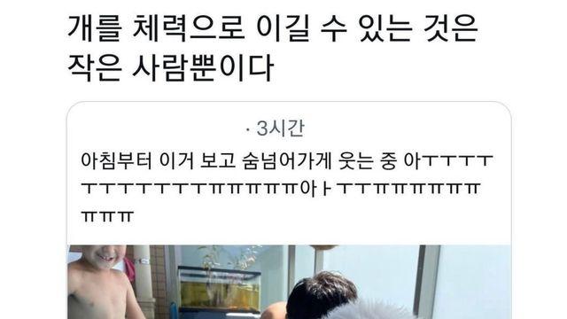 물놀이하다 지친 댕댕이 근황