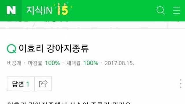 이효리 강아지 상순이 종류가 뭔가요.jpg,,