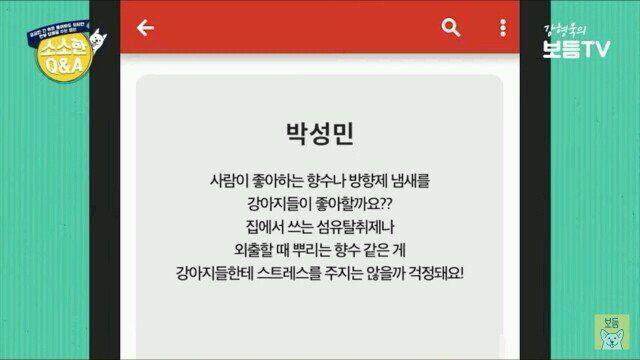강아지는 향수냄새 싫어하나요‥