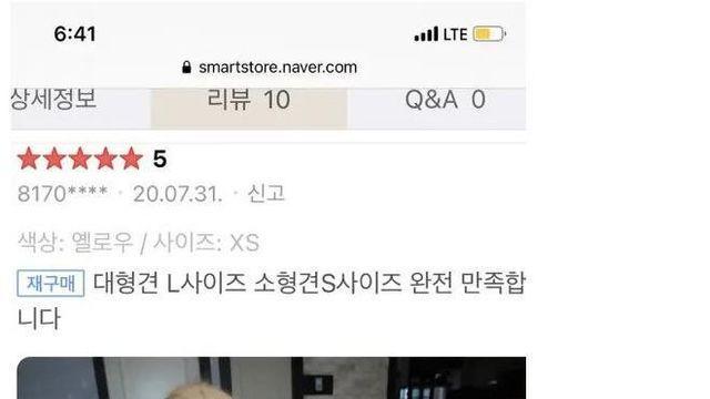 만족률 100% 댕댕이 넥카라 구매 후기 …