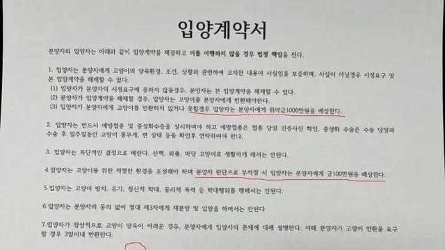 캣맘이 길고양이 입양 보내면서 요구하는 계약서 ㄷㄷ.jpg