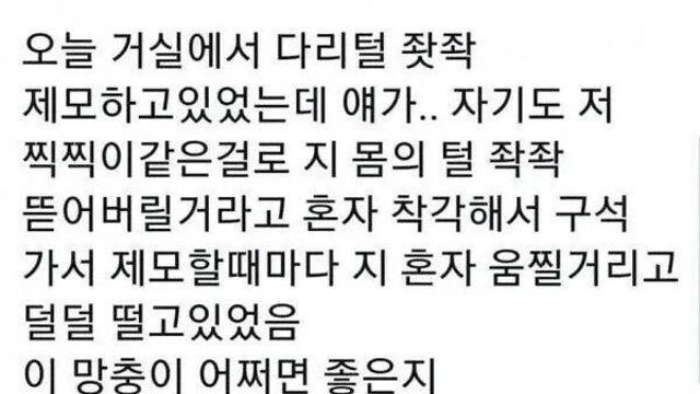 주인이 다리털 제모하는 걸 본 댕댕이