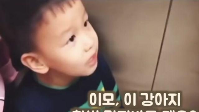 이모 이 강아지 만져봐도 돼요?