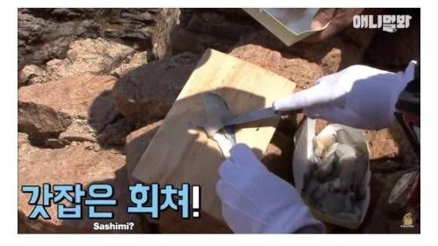 초장이 아니면 회를 먹지 않는 강아지.jpg‥