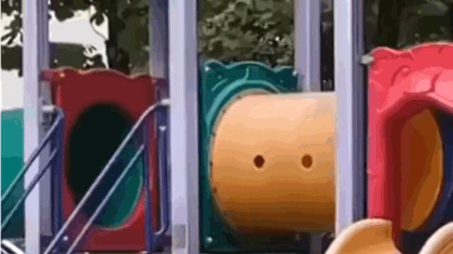 미끄럼타는 냥이 ‥