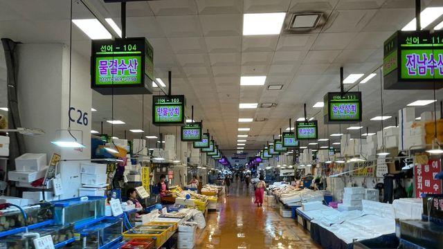 日원전 처리수 방류 해외 반응은…미국·호주 잠잠, 중국만 펄쩍
