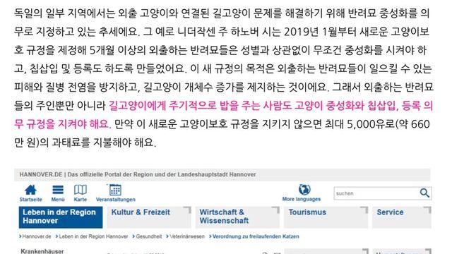 ‘고양이 보호 조례’ 이름은 비슷한데..