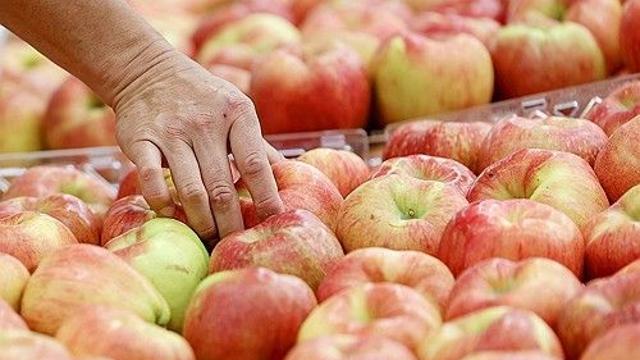 9월 과일 작년보다 비싸다…사과는 최대 160.6 오를듯