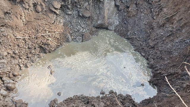 3개월 간 가축분뇨 약 1500t 불법 배출 일당 적발