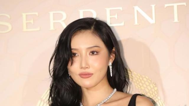 다리 벌리고 XX 부위 쓸어올려… 화사, 외설 퍼포먼스 논란에 경찰 소환 조사