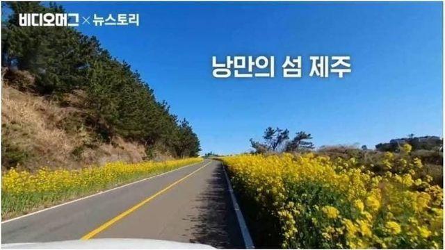 제주살이 열풍이 식어가는 이유