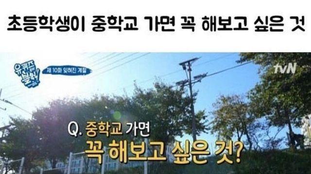 초등학생들이 중학교 가서 하고싶은 것 …