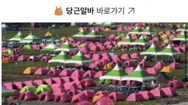 당근마켓에 잼버리 알바 올라옴