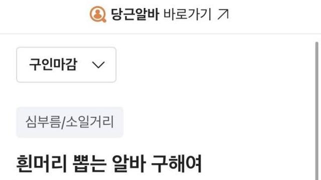 흰머리 뽑는 알바 채용 후기.jpg