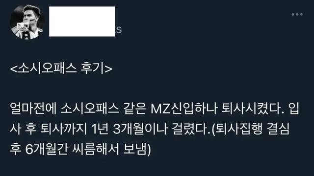 소시오패스 같은 MZ신입 퇴사 시킨 후기