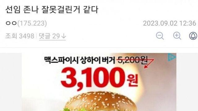 선임 잘못걸린 디시인