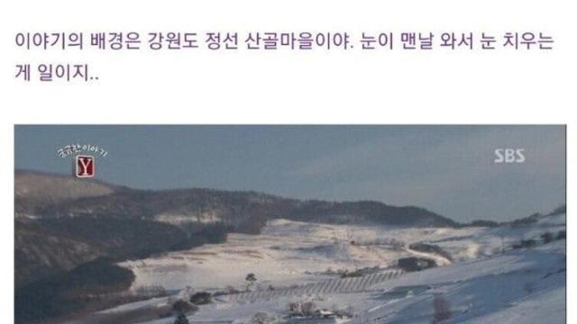 돈을 똥이 아닌 거름으로 쓴 할머니 ㄷ..JPG.jpg
