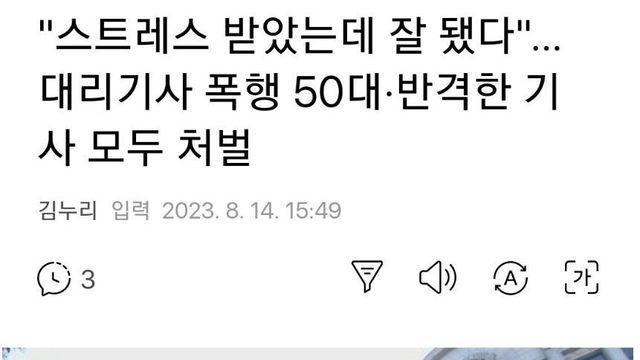 “스트레스 받았는데 잘됐다” 대리기사 폭행, 기사 반격
