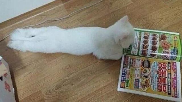 배달앱 없던 시절 모습.jpg