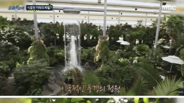 식물원 카페의 비밀.