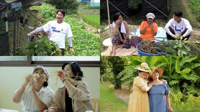 이천수母, 거침없는 시누이 폭로 “어린애가 철딱서니 없었다” 살림남