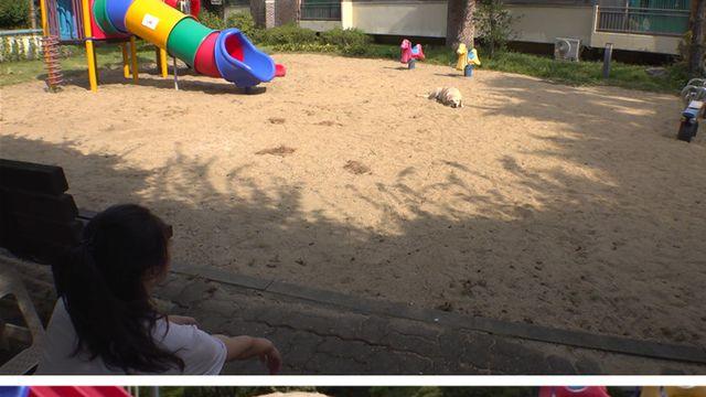 TV동물농장 뙤약볕에 모래찜질하고 전기장판에서 낮잠 자는 개의 사연은