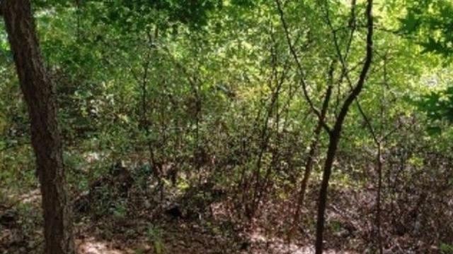 평창동 묫자리, 경매로 81억원에 팔렸다… 입지 어떻기에