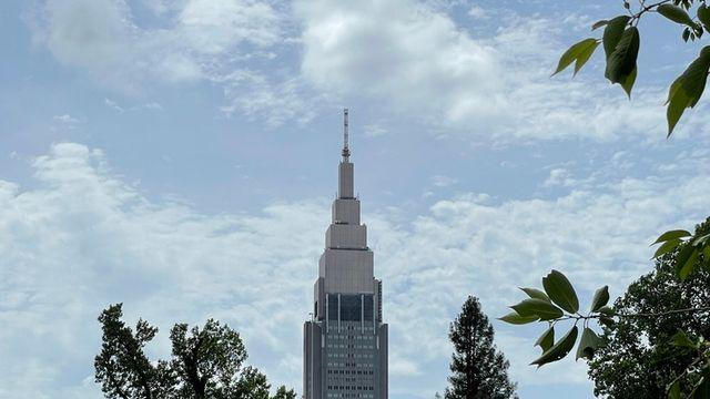 이 도시를 즐기는 색다른 방법, 도쿄 공원 산책 도쿄핫플