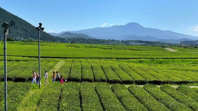 내일 날씨 전국 맑고 더 선선…아침기온 10도 안팎